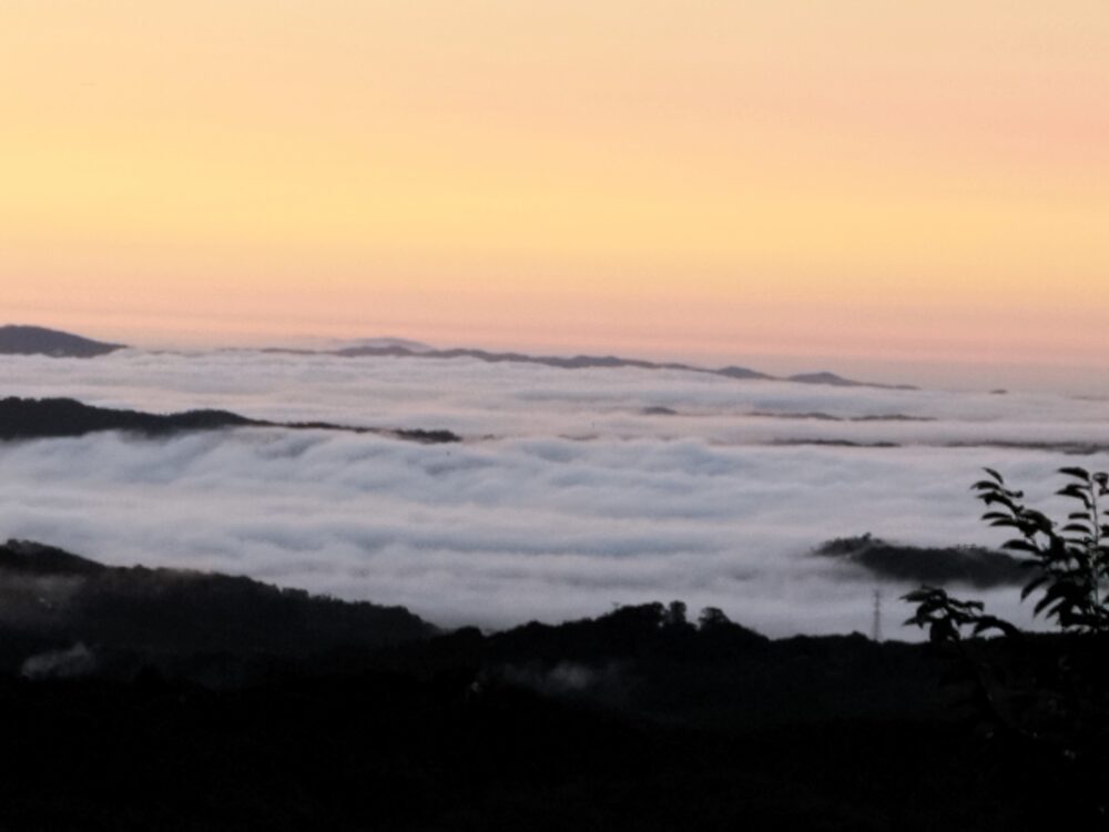 弥高山公園キャンプ場　展望台から見える雲海