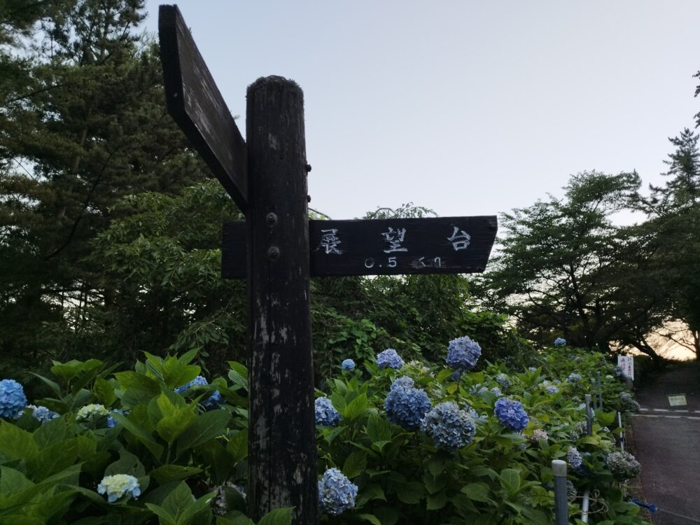 弥高山公園キャンプ場　展望台への道