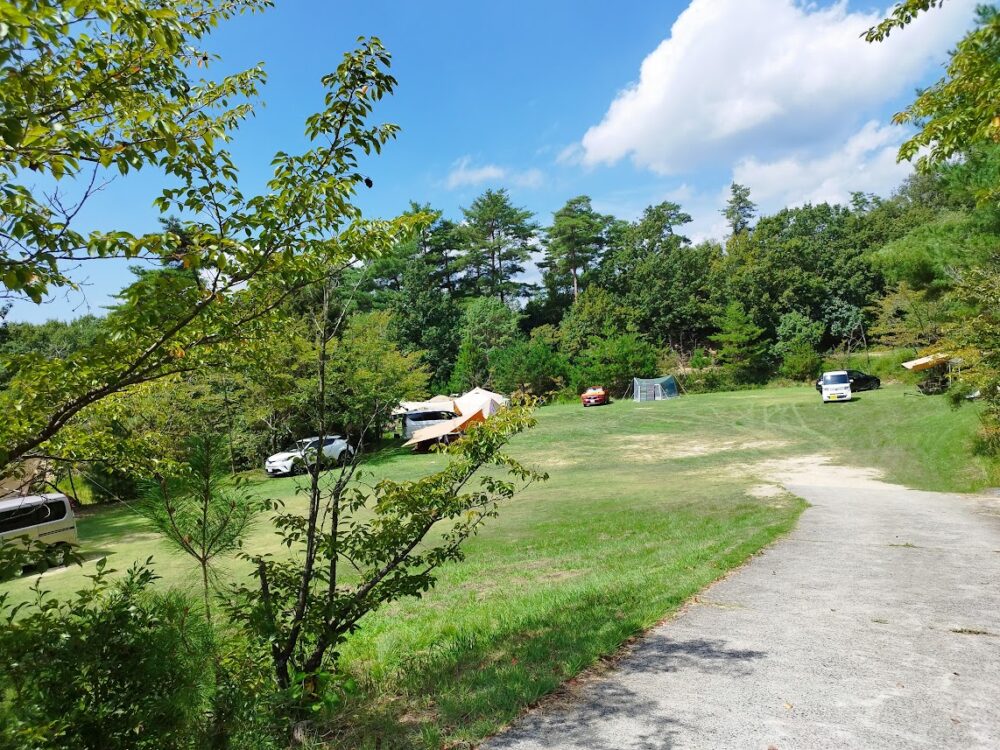 亀島キャンプ場　芝生広場の全景